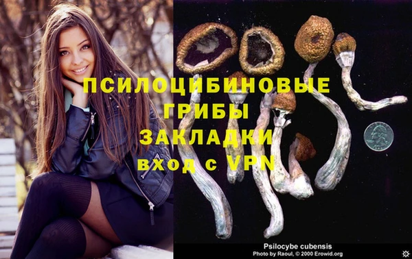 прущий лед Волоколамск