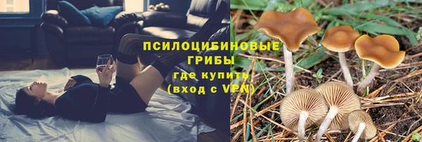 прущая мука Вяземский