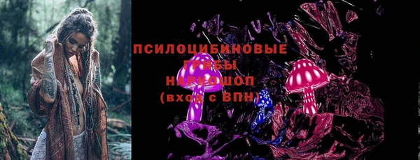 ГАЛЛЮЦИНОГЕННЫЕ ГРИБЫ Володарск