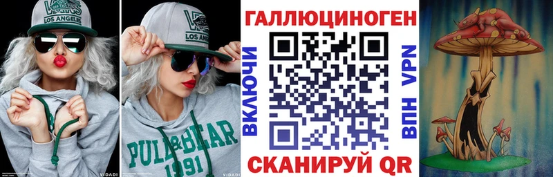 Псилоцибиновые грибы GOLDEN TEACHER  купить наркоту  Изобильный 